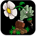 PLANTS VS ZOMBIES